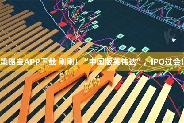 策略宝APP下载 刚刚！“中国版英伟达”，IPO过会！