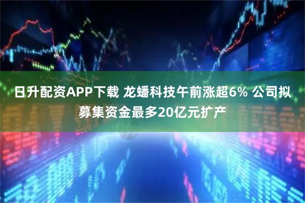 日升配资APP下载 龙蟠科技午前涨超6% 公司拟募集资金最多20亿元扩产